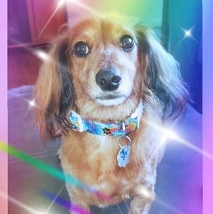 Meet your Posher, Vickie